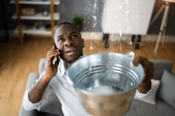 Best Water damage cleanup near me  in Muldraugh, KY