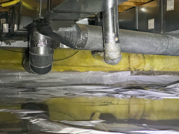 Best Fire Damage Restoration  in Muldraugh, KY