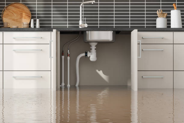 Best Sewage cleanup and water damage restoration  in Muldraugh, KY