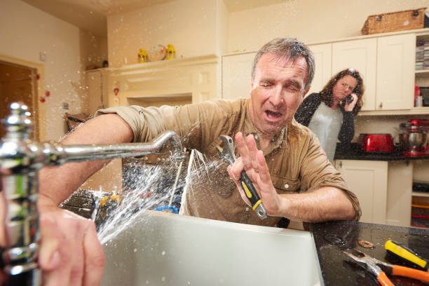Best Flooded house restoration  in Muldraugh, KY